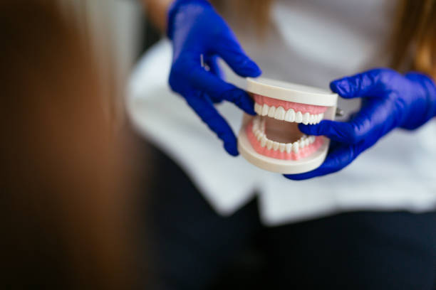 Reliable Anoka, MN  Holistic Dental Services Solutions