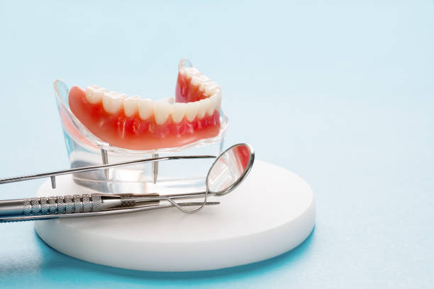 Best Emergency Dental Care  in Anoka, MN